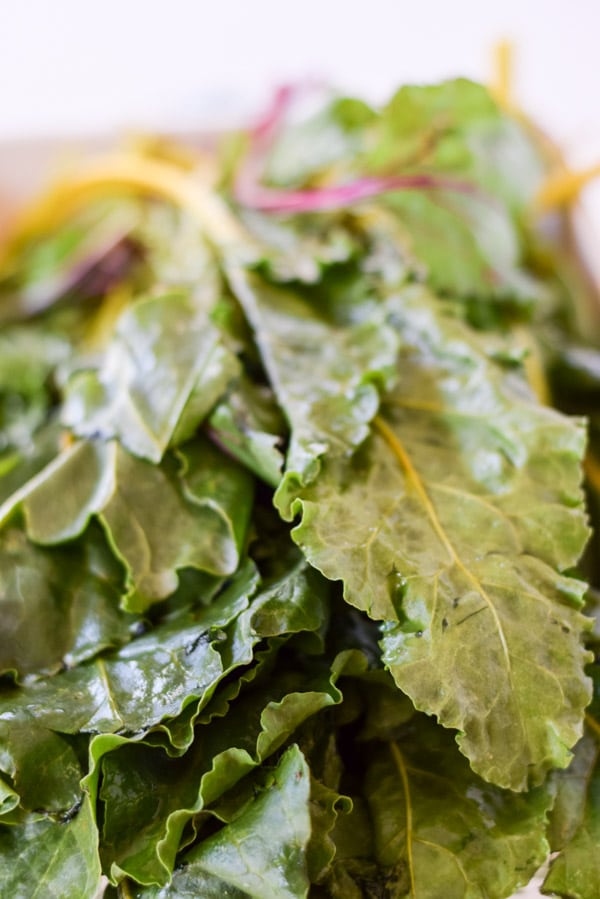 Beet leaves piled together - both yellow and red