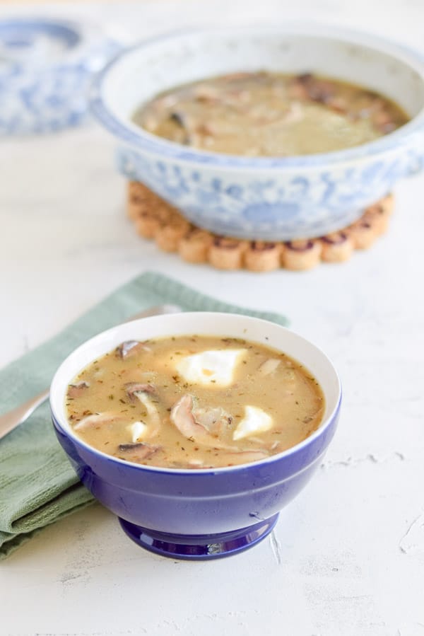 Sour cream in the in a blue bowl of soup with a lighter blue bowl filled with the rest of the soup