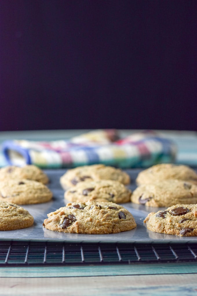 Chocolate chip cookies fresh out of the oven but still on the cookie sheet