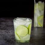 Short glass with the rickey in it with lime wheels as garnish - square