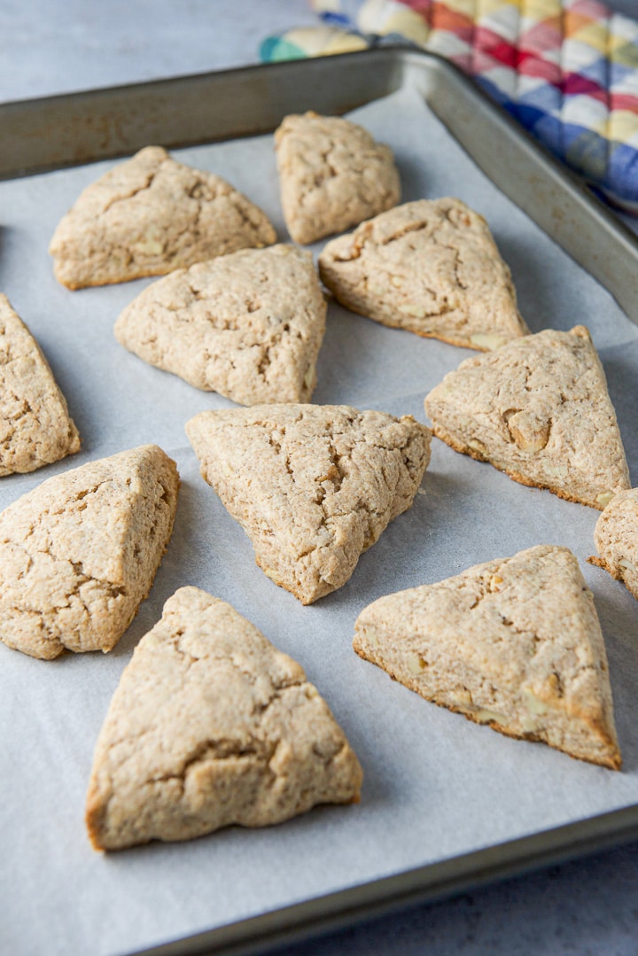 Maple scones fresh out of the oven still on the pan