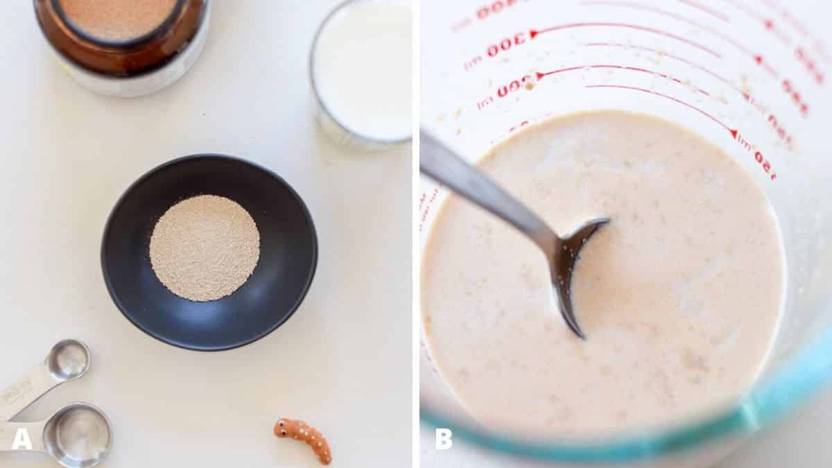 Left - yeast and milk. Right - the yeast, milk and honey in a glass cup