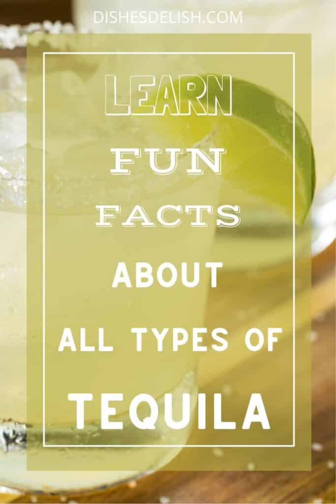 Tequila 101 for Pinterest 2