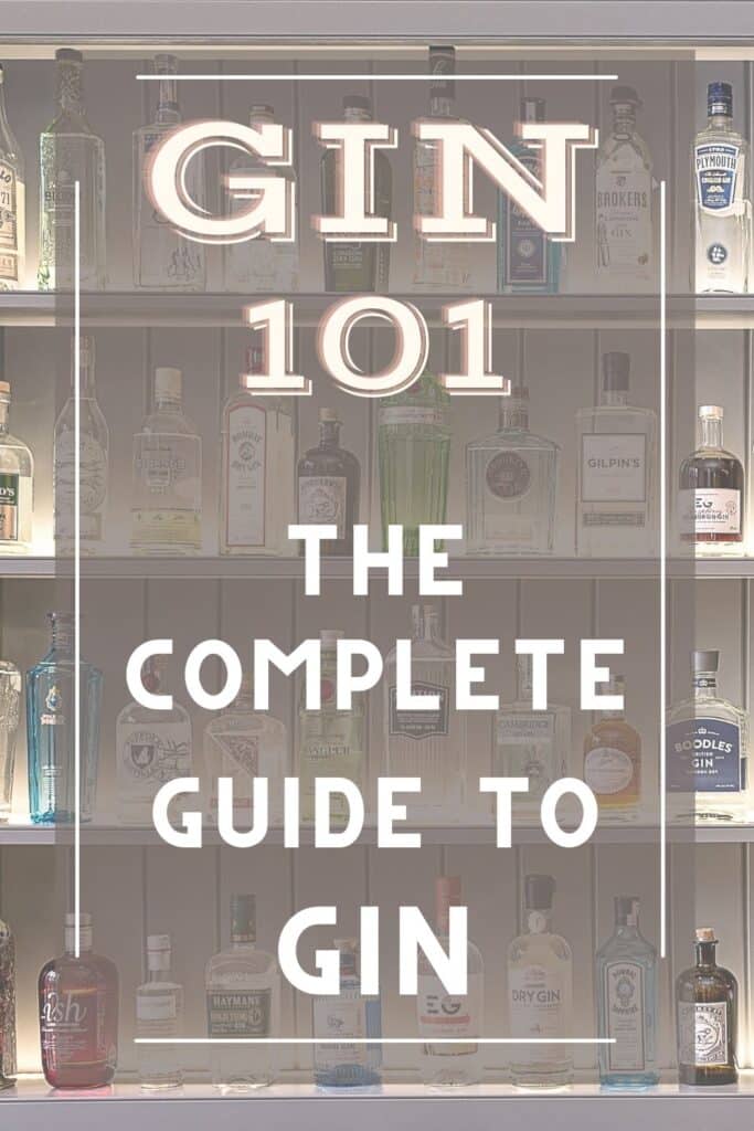 Gin 101 for Pinterest
