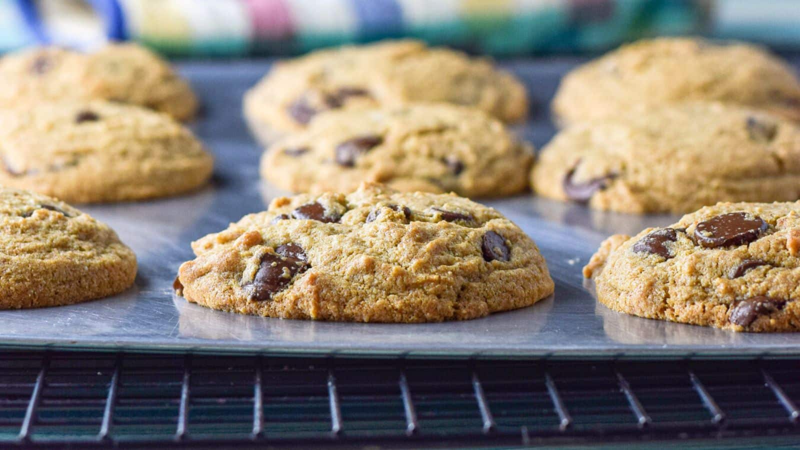 A baking sheet with chocolate chip cookies on it