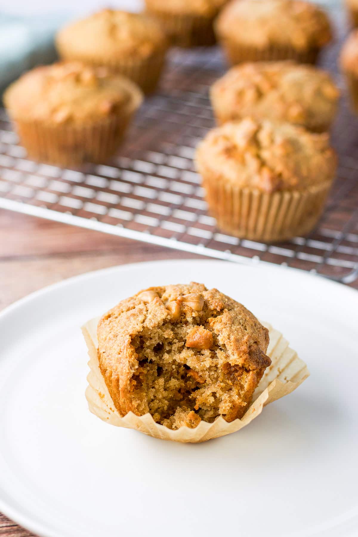 Close up of a white plate with one of the muffins with a bite taken out of it. There are more muffins in the background on a rack