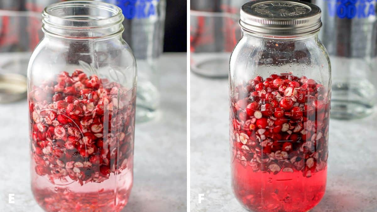 Left - the jar with the vodka and cranberries after it has been poured. Right - the jar with the lid on it and shaken