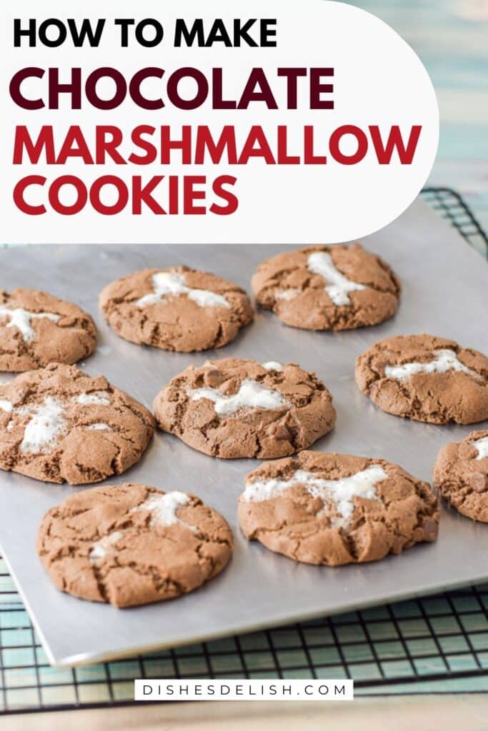 Cocolate Marshmallow Cookies Pin 4