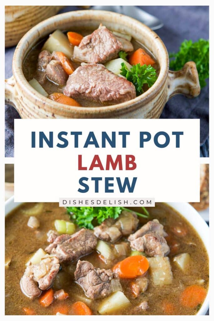 instant pot lamb stew Pin