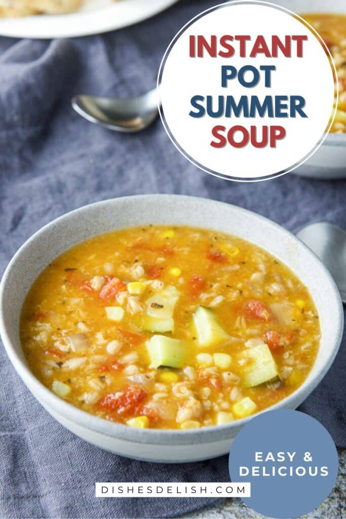 instant pot summer soup pin 7