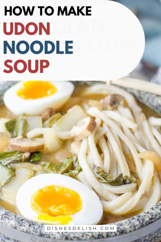 udon noodle soup pin