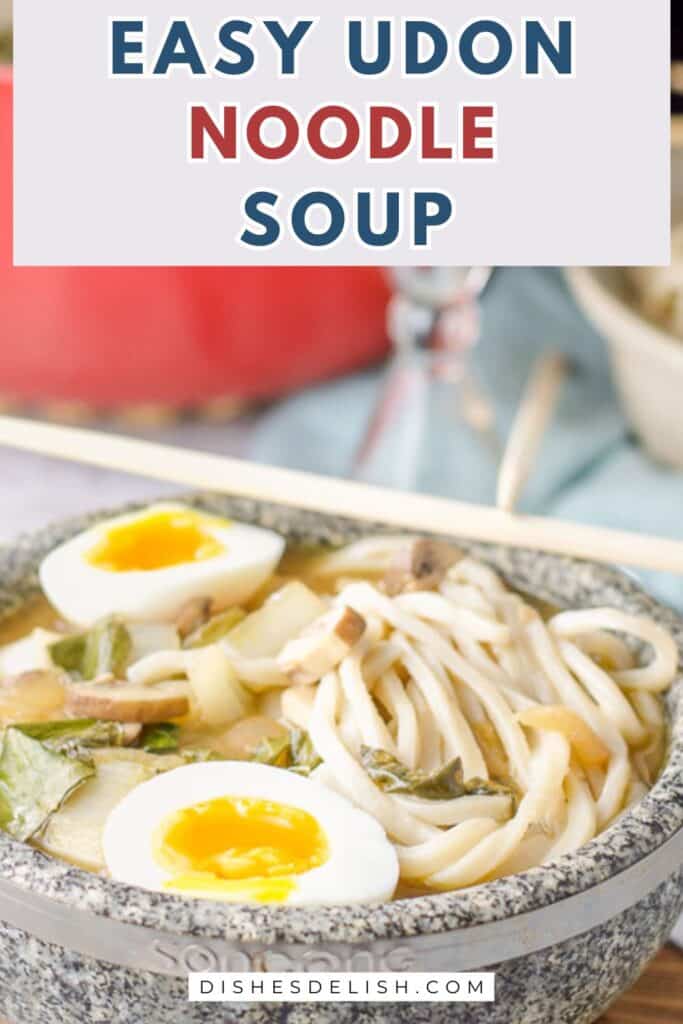 udon noodle soup pin 4