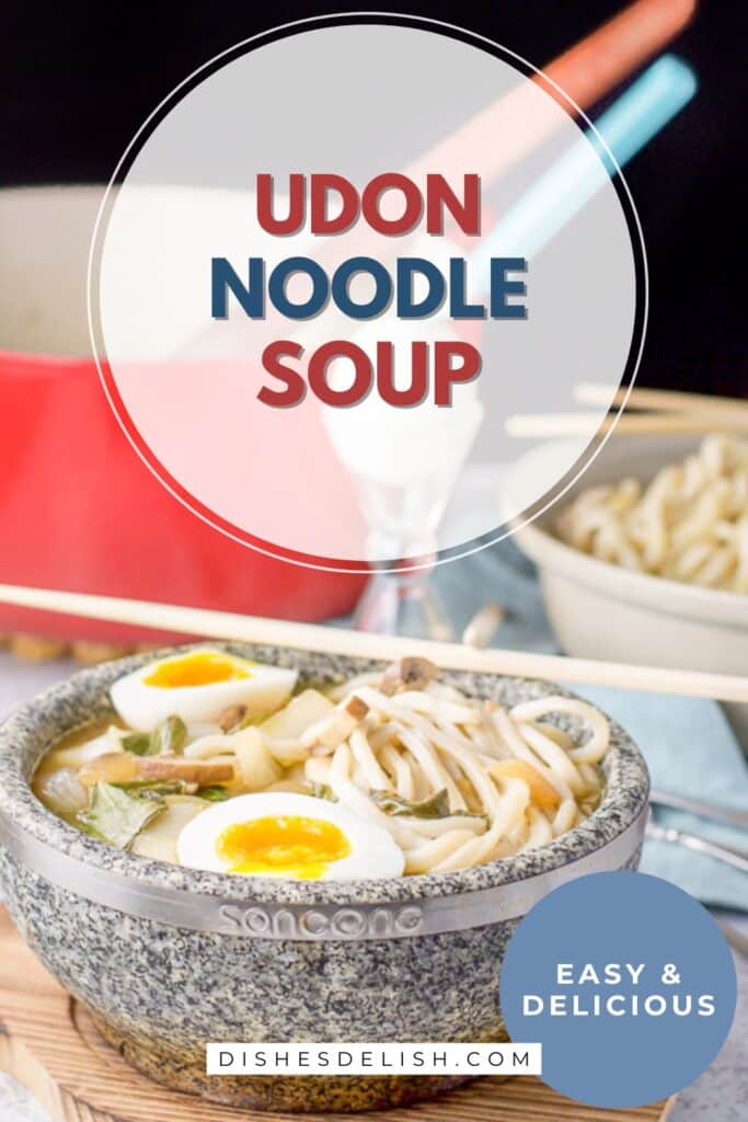 udon noodle soup pin 5